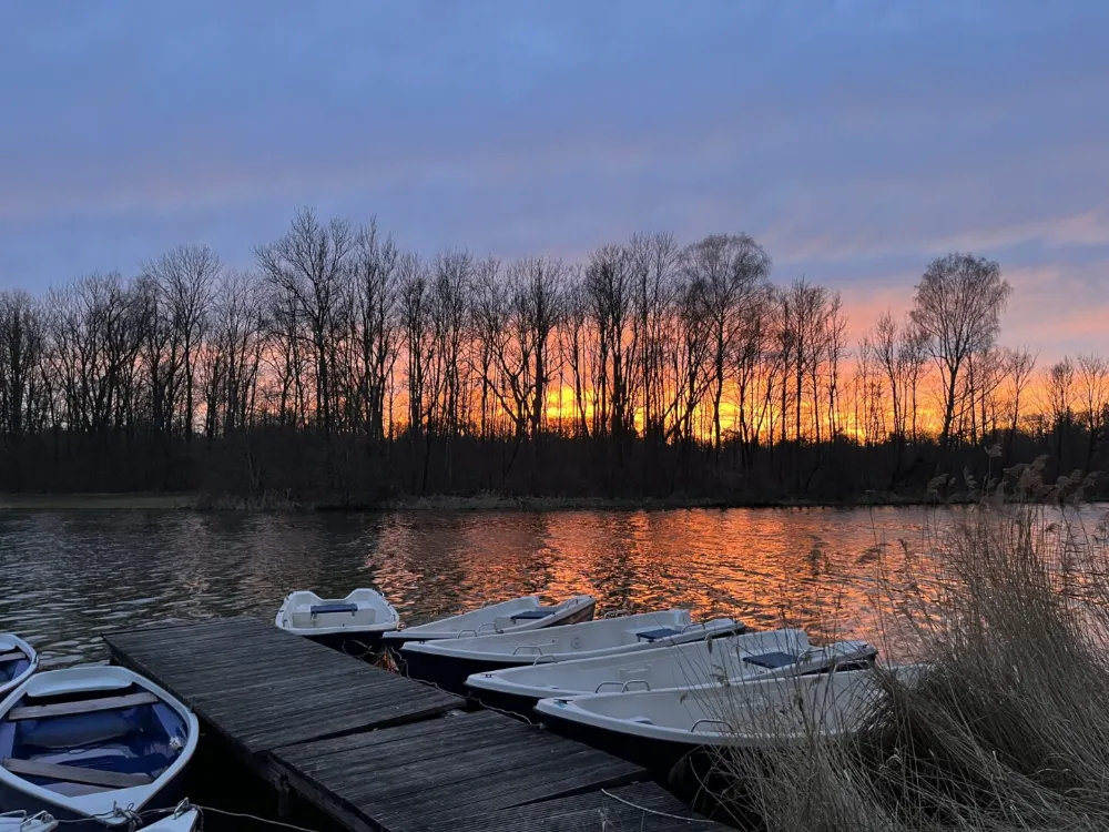 Bild von einem Bootssteg mit vielen Tretbooten